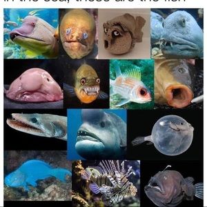 Meet your Posher, Tamia